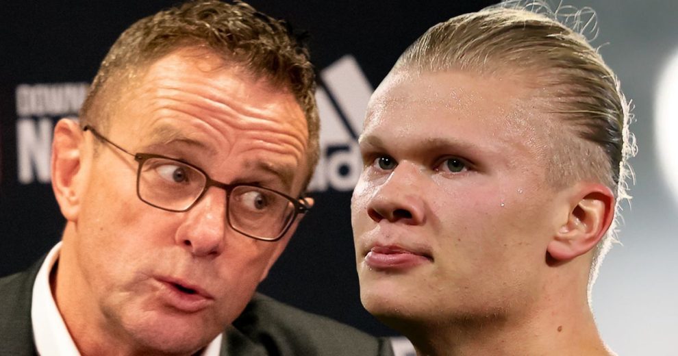 买了不玩成常态？新工具让Steam玩家自嘲库存堆积如山